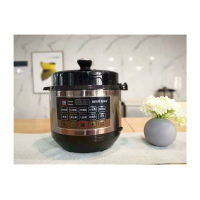 Rileosip/雅乐思Y5H-02G电压力锅 电高压锅 多功能压力 双胆