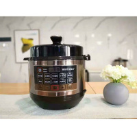 Rileosip/雅乐思Y6H-02G电压力锅 电高压锅 多功能压力 双胆