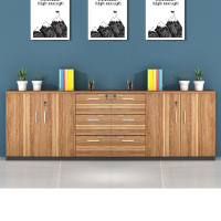 畅天行办公矮柜储物柜地柜 CTX-AG01