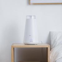 净也小熊加湿器家用静音办公室桌面卧室内空气净化空调迷你小型香薰机