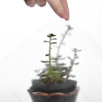 净也透明厨房防油贴纸防水耐高温自粘橱柜灶台用壁纸防油烟机瓷砖墙贴