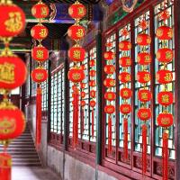 净也结婚植绒印花灯笼串 灯笼挂件喜庆节日挂饰灯笼 过年大红连串灯笼