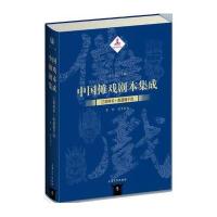 南通僮子戏曹琳9787567120891上海大学出版社