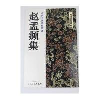 赵孟頫集9787539864815安徽美术出版社