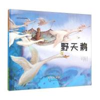 野天鹅白美淑9787544541473长春出版社