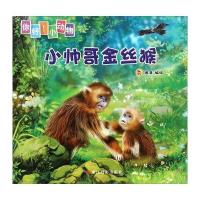 小帅哥金丝猴登亚9787551413756浙江摄影出版社