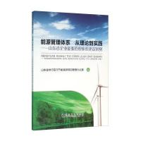 能源管理体系 从理论到实践：山东省企业能源管理体系建设案例山东省世行亚行节能减排项目管理办公室978750247214