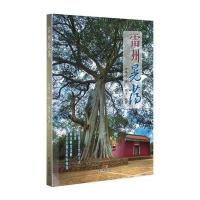 雷州晃荡曾敏儿9787218103280广东人民出版社