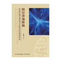 阿尔茨海默病发病机理及其相关生物活*物质研究姜招峰9787518409143中国轻工业出版社