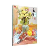 色彩静物（D8辑）9787531885863黑龙江美术出版社