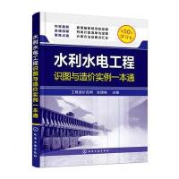水利水电工程识图与造价实例一本通张国栋9787122276056化学工业出版社
