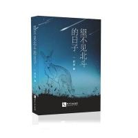 望不见北斗的日子舒泥9787513044066知识产权出版社