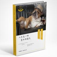 人生是一场意外的遇见阿齐兹·内辛9787507837827中国国际广播出版社