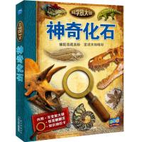 科学放大镜：神奇化石（NEW）?神奇化石(NEW)/科学放大镜【英】道格拉斯·帕尔默9787556020188