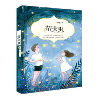 萤火虫朱槿9787501610723天天出版社