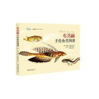 布洛赫手绘鱼类图谱马库斯·布洛赫9787301251126北京大学出版社有限公司