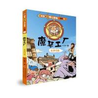 科学如此惊心动魄.地理?魔琴工厂 走进印度：走进印度纸上魔方9787558123931吉林出版集团股份有限公司