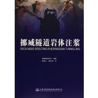 挪威隧道岩体注浆挪威隧道协会9787114120480人民交通出版社股份有限公司