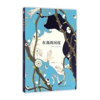 在我的国度9787535493439长江文艺出版社