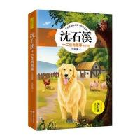 沈石溪十二生肖故事（猴鸡狗猪）9787514359183现代出版社