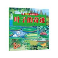 叶子的奇迹9787559500052河北少年儿童出版社