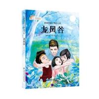 龙凤谷赵彤9787542243744甘肃少年儿童出版社有限责任公司