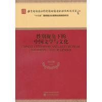 *别视角下的中国文学与文化乔以钢9787514184143经济科学出版社