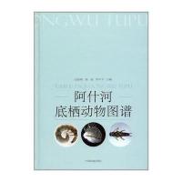 阿什河底栖动物图谱伍跃辉9787511131461中国环境出版社