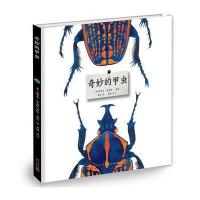 奇妙的甲虫史蒂夫·詹金斯9787513326544新星出版社