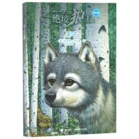 绝境狼王系列:新新版?影子(美)凯瑟琳？拉丝基9787544853842接力出版社有限公司