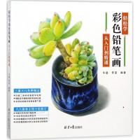 轻松学彩色铅笔画：从入门到精通9787547719985北京日报出版社