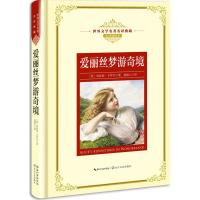 爱丽丝梦游奇境（全译插图本）9787570202256长江文艺出版社