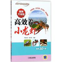 高效养小龙虾（视频升级版）陶忠虎9787111597575机械工业出版社