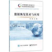 数据恢复技术与应用何琳9787121271427电子工业出版社