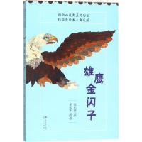 动物小说大王沈石溪.精华爱读本:升 版?雄鹰金闪子9787501613502天天出版社