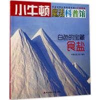 白色的宝藏：食盐（AR特别版）9787550719255海天出版社