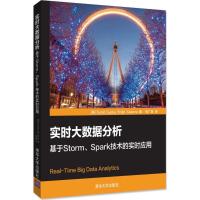 实时大数据分析：基于Storm、Spark技术的实时应用萨米特·古普塔9787302477280清华大学出版社