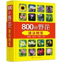 800种野花速认图鉴杨辉霞9787122319579化学工业出版社