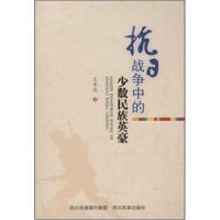 抗日战争中的少数民族英豪王希亮9787540960551*川民族出版社