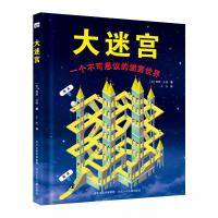 大迷宫9787559509826河北少年儿童出版社