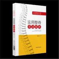 实用整脊手*技*王平9787521401035中国医药科技出版社