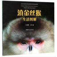 滇金丝猴生活图解：北京市科协科普创作出版资金资助项目于凤琴9787503894961中国林业出版社