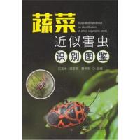 蔬菜近似害虫识别图鉴石宝才9787109241961中国农业出版社