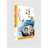 金骏马民族儿童文学精品?小穆萨的飞翔9787530149249北京少年儿童出版社
