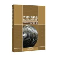 汽轮发电机组振动诊断及实例分析张国忠9787519813109中国电力出版社