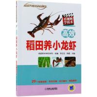 高效稻田养小龙虾李良玉9787111605997机械工业出版社