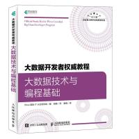 大数据开发者  教程 大数据技术与编程基础9787115493507人民邮电出版社