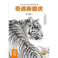 马文秋荒野动物故事?奇遇新疆虎9787556079803长江少年儿童出版社
