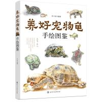 养好宠物龟手绘图鉴9787122326324化学工业出版社