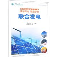 联合发电/  风光储输示范工程储存风光输送梦想9787519820183中国电力出版社